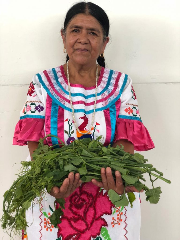 Emma Méndez es de Huautla de Jiménez con quelites huele de noche, de la milpa a la mesa Foto: Mariana Castillo