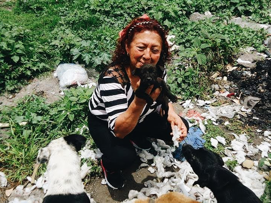 Yolanda Romero, la mujer que rescata animales de los tiraderos de basura