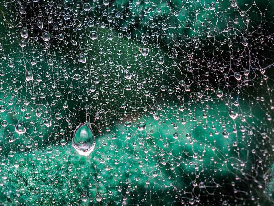 cómo captar agua de lluvia