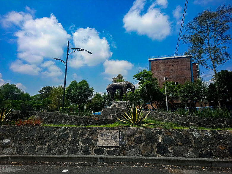 monumento al perro callejero