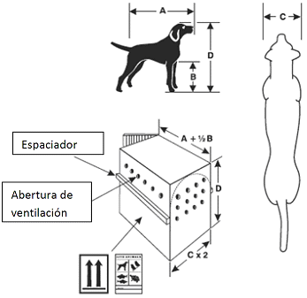 viajar con mascotas