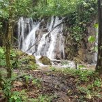 Reserva de la Biosfera Montes Azules: un paraíso natural en Chiapas