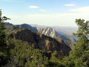 Parque Nacional Sierra de San Pedro Mártir, entre nieve y astronomía