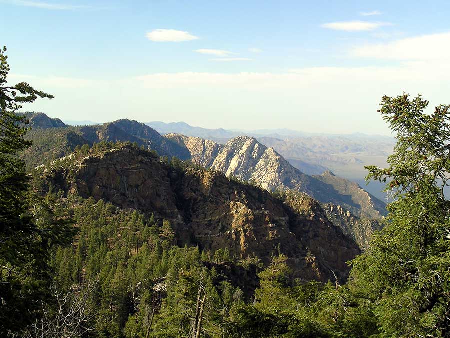 Parque Nacional Sierra de San Pedro Mártir, entre nieve y astronomía