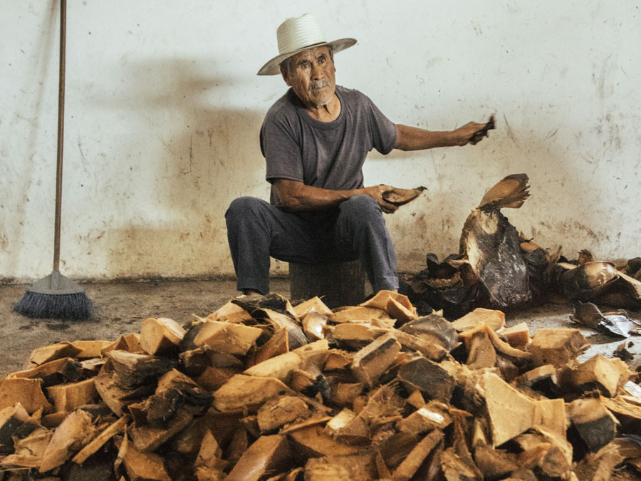 5 palenques de mezcal en Oaxaca que debes visitar