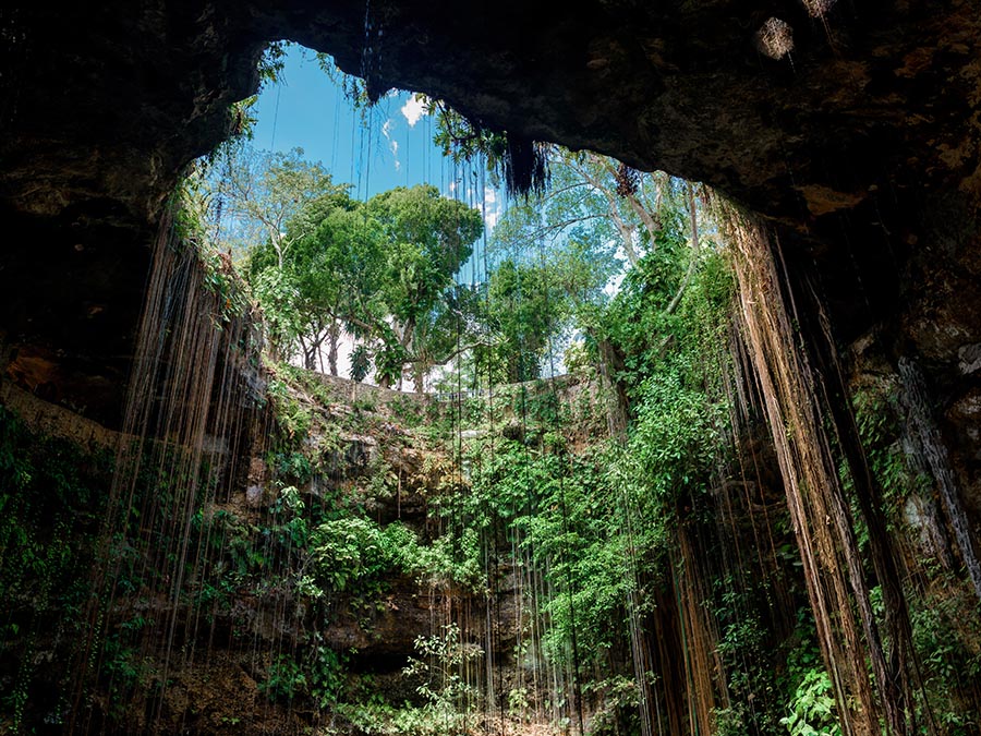 cenotes en Valladolid