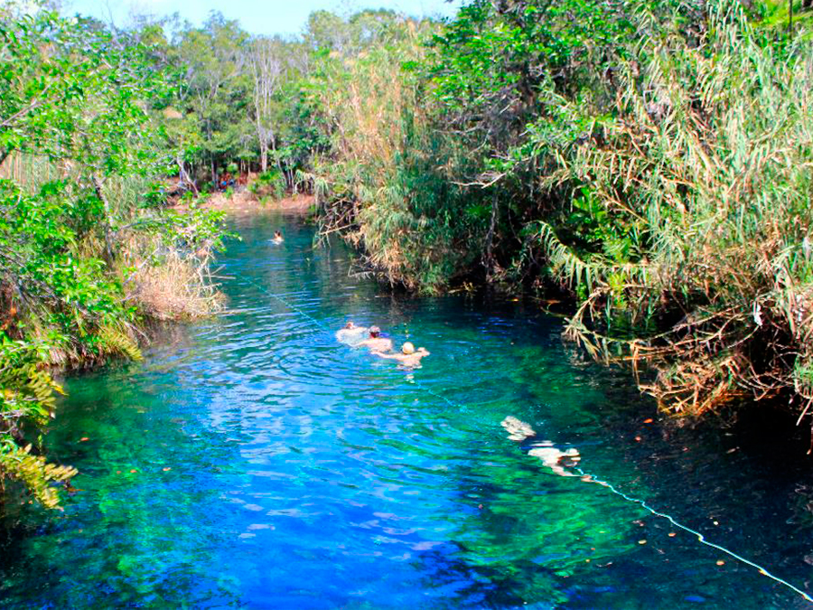 Cenotes en Tulum