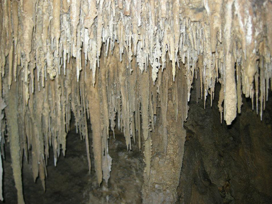 grutas en Cuetzalan