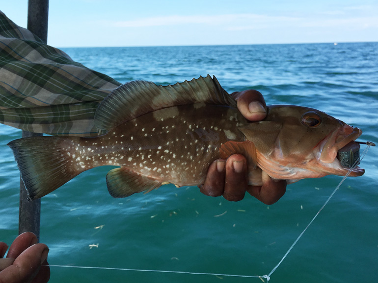 Glosario de la pesca en México: lo que debes saber