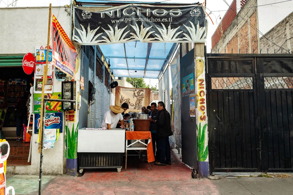 paletas y helados de pulque Iztapalapa