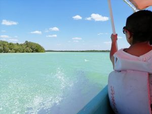 Un paseo inolvidable por Celestún, entre manglares, playa y flamingos