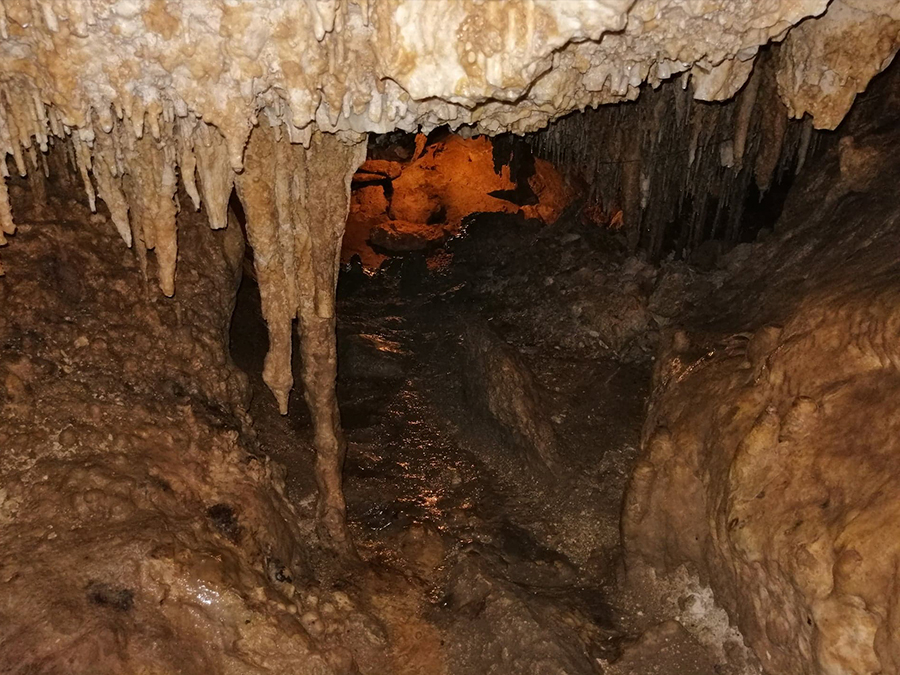 Cenotes de Homún