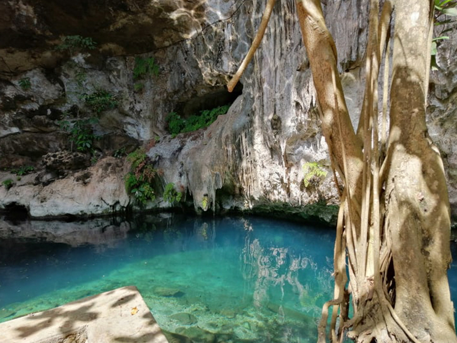 Cenotes de Homún