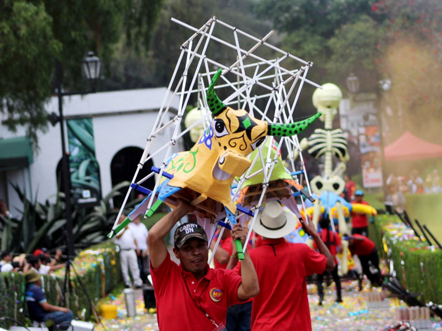 Carnaval de Tradiciones del Dolores Olmedo