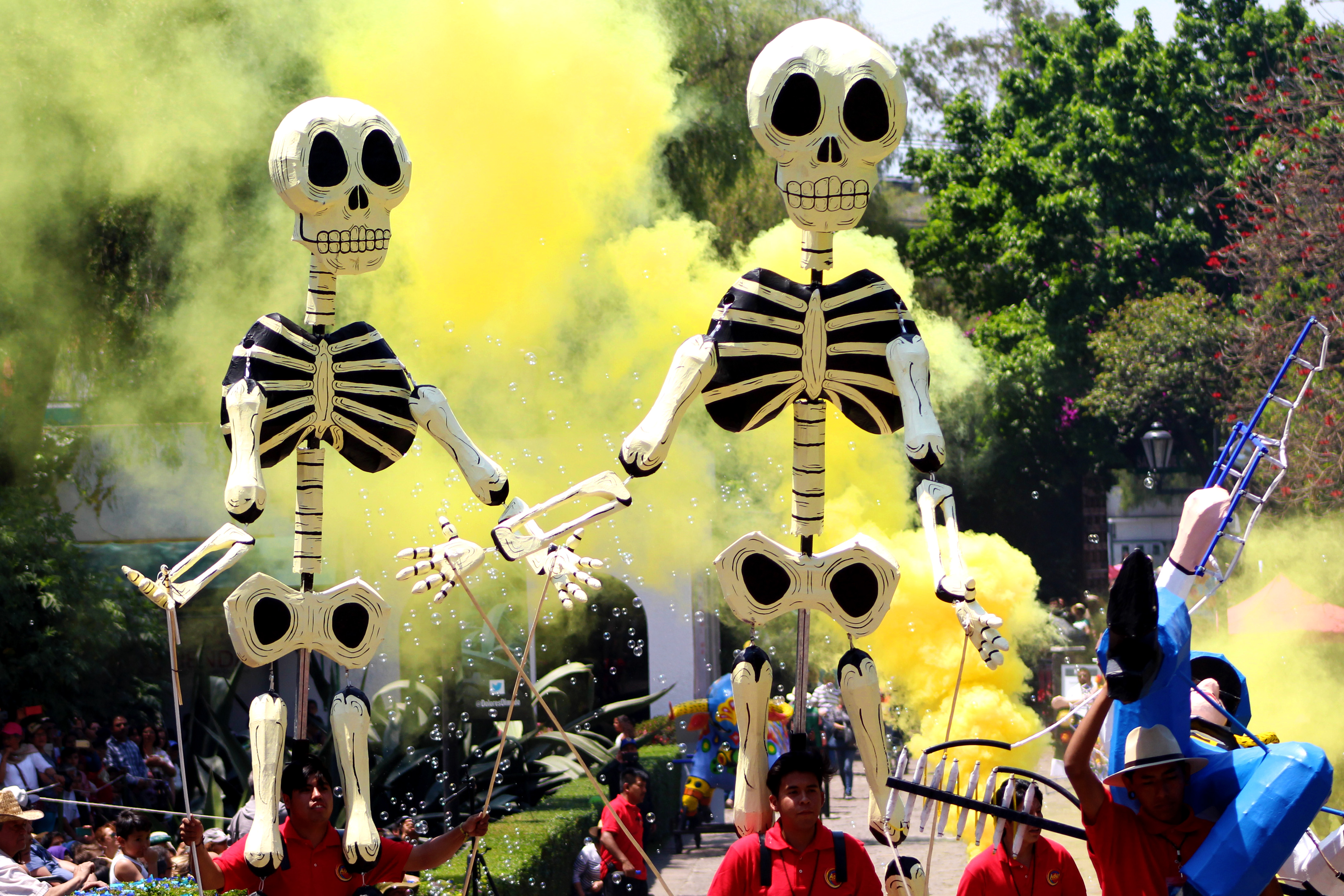 La popular fiesta del Carnaval de Tradiciones del Dolores Olmedo