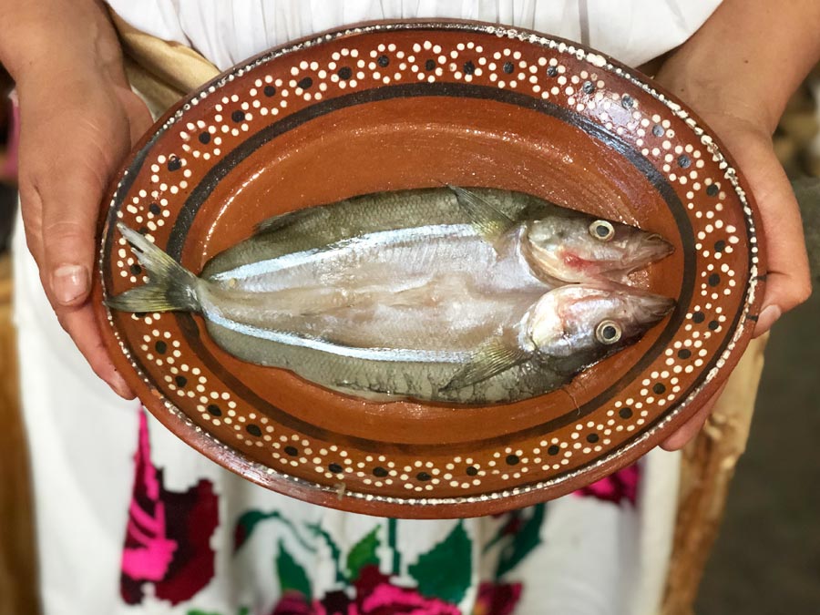 Pescado blanco de Zirahuén, una especie michoacana