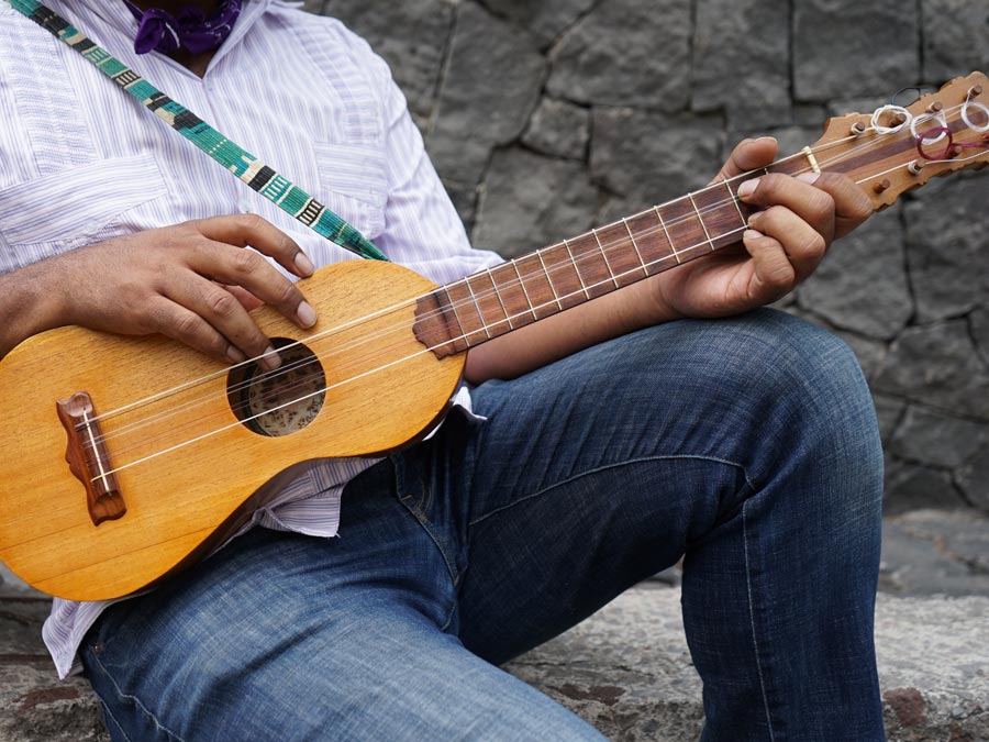 Instrumentos del son jarocho: estos músicos te cuentan más de ellos