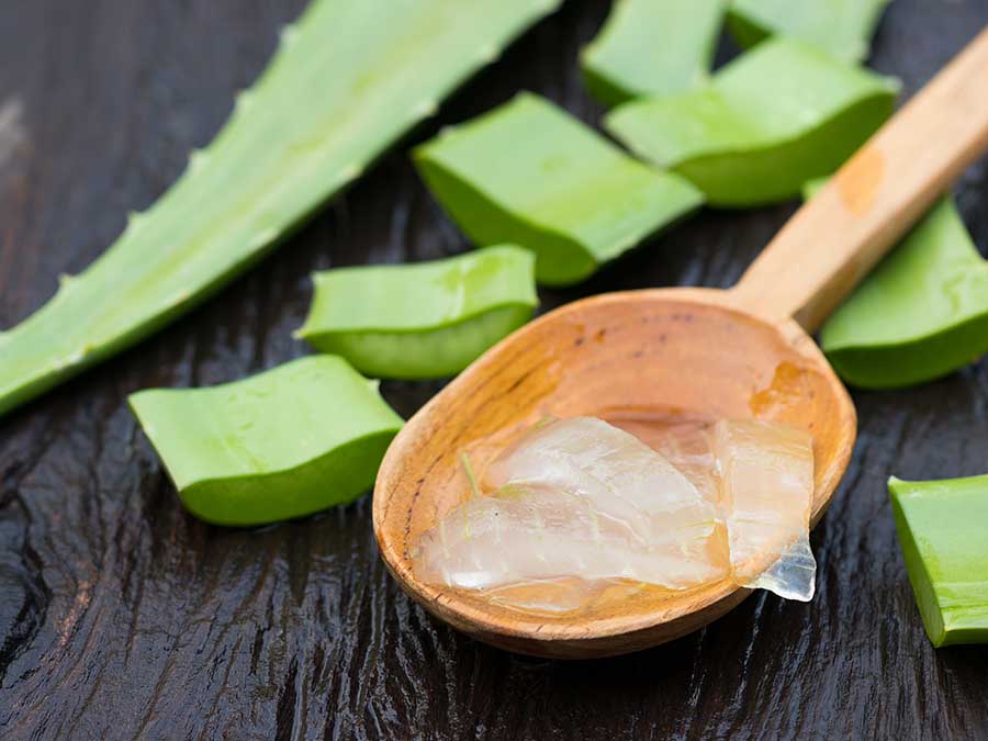 Medicina tradicional tlaxcalteca, plantas para curar cualquier dolencia