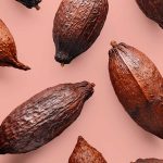 Usos rituales del cacao en Tabasco: ceremonias y alimentos