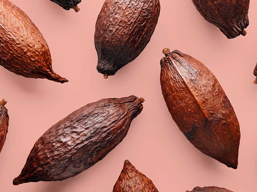 Usos rituales del cacao en Tabasco: ceremonias y alimentos