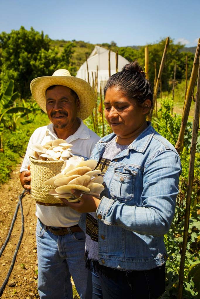 Varios campesinos practican la agricultura sostenible y la soberanía alimentaria Foto: Fernando Gómez Carbajal