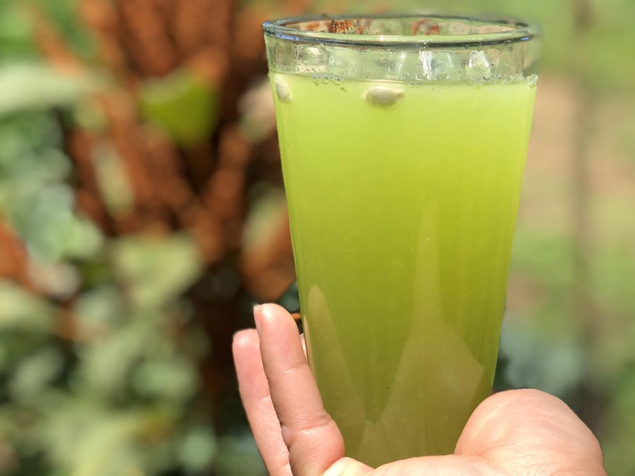 Agua de naranja con hoja de amaranto