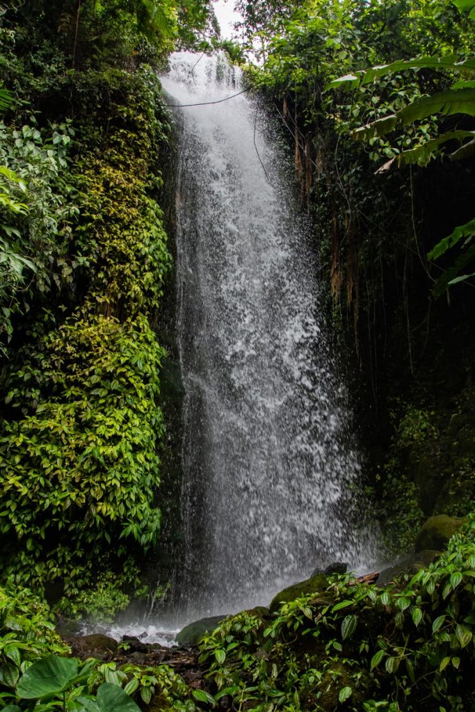 Cascadas Toquián y las Nubes, parte de la Reserva de la Biosfera Volcán Tacaná, en Chiapas Foto: Mariana Castillo