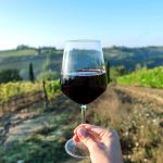 Ruta del Vino en México: vinícolas y viñedos recomendados