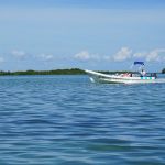 Punta Allen: qué actividades puedes hacer en este destino