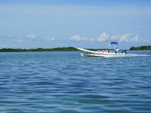 Punta Allen: qué actividades puedes hacer en este destino