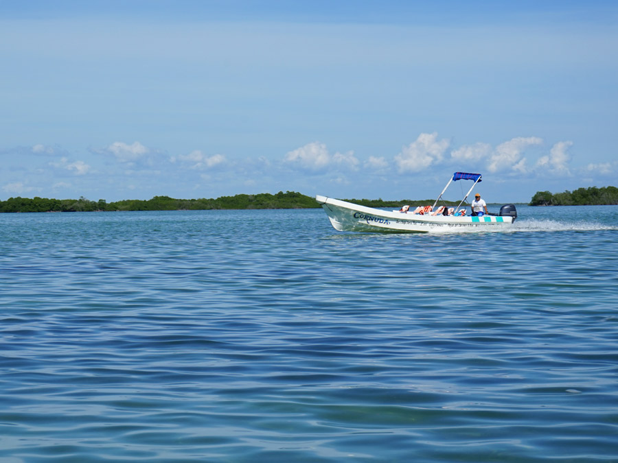 Punta Allen: qué actividades puedes hacer en este destino