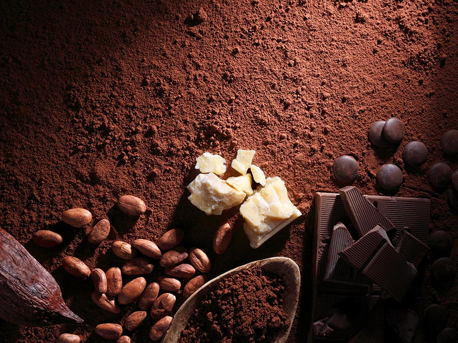 La deliciosa industria del cacao y el chocolate