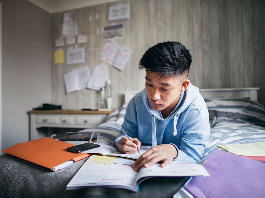 estudiar y aprender en casa