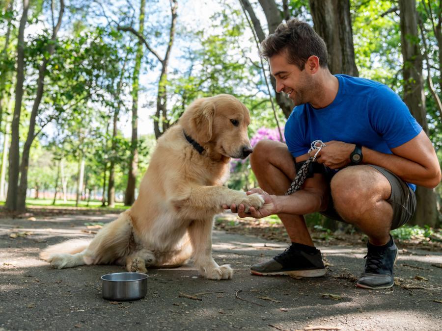 ¿Cómo festejar el Día Mundial del perro? ¡Amándolo y cuidándolo!