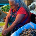 Guelaguetza por la Central: cocineros de Oaxaca se unen para apoyar a este mercado