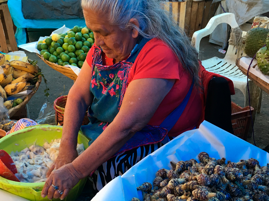 Guelaguetza por la Central: cocineros de Oaxaca se unen para apoyar a este mercado