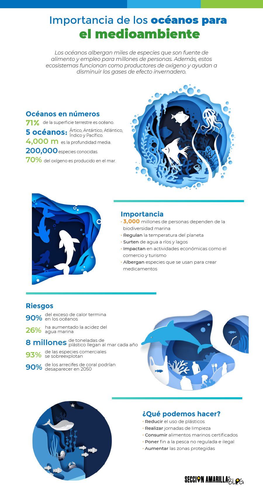 infografia sobre dia mundial de los oceanos, importancia de los oceanos, riesgos como contaminacion y acidificacion y medidas para cuidarlos