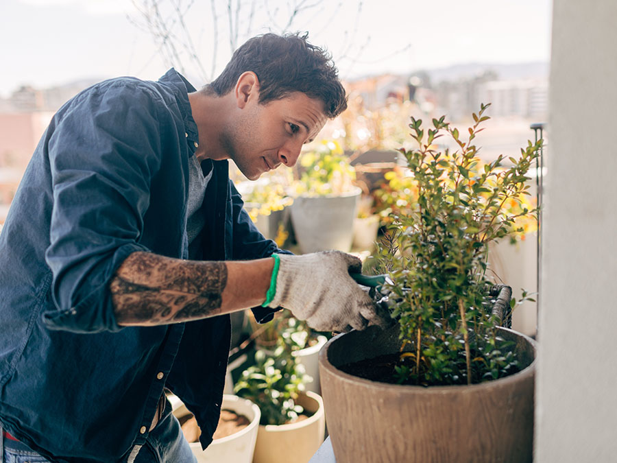 Terapia con plantas, una forma de relajar tu mente esta pandemia