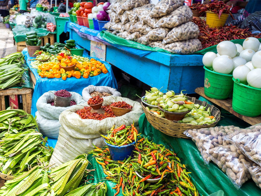 Cultura alimentaria, alimentos mexicanos que nos nutren mejor