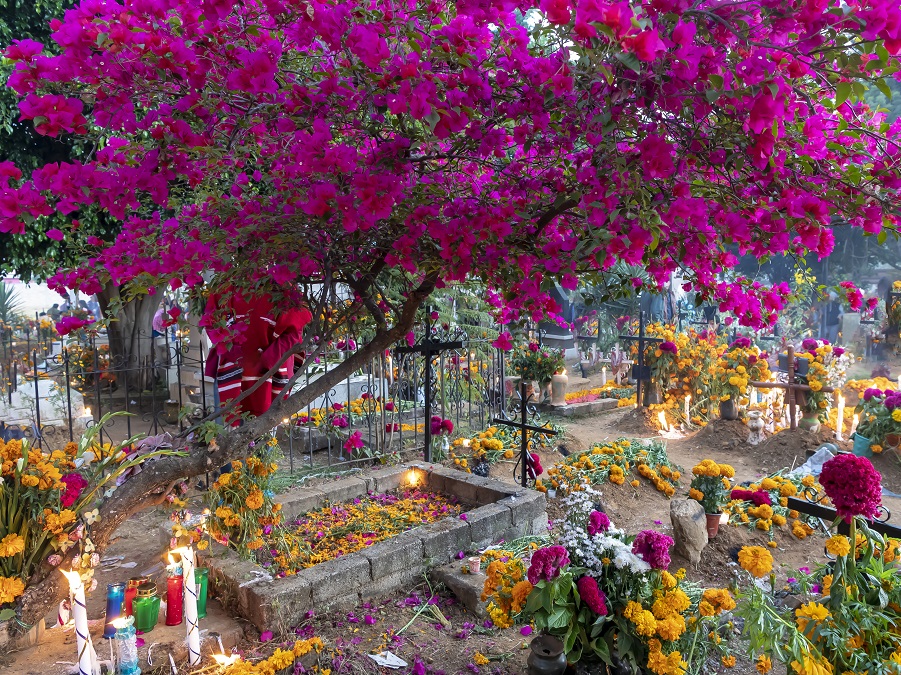 celebrar dia de muertos en mexico