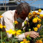 Flores para Día de Muertos en el Estado de México