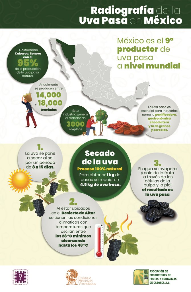 Uvas pasas en México, datos y beneficios de este alimento