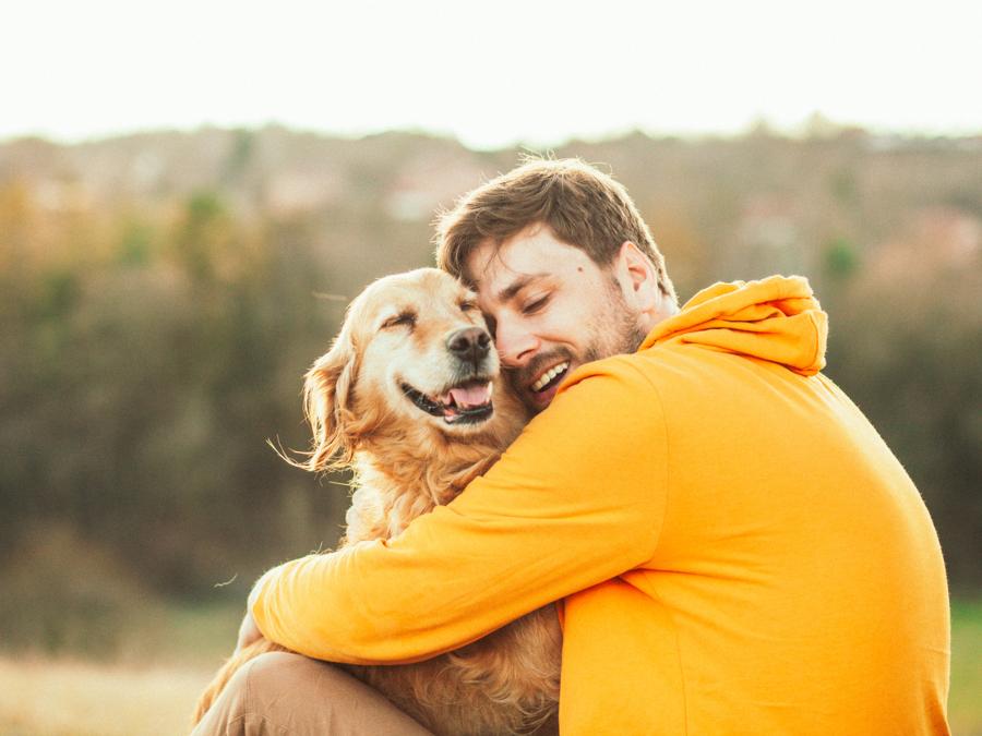 ¿Cómo festejar el Día Mundial del Perro? ¡Amándolo y cuidándolo!