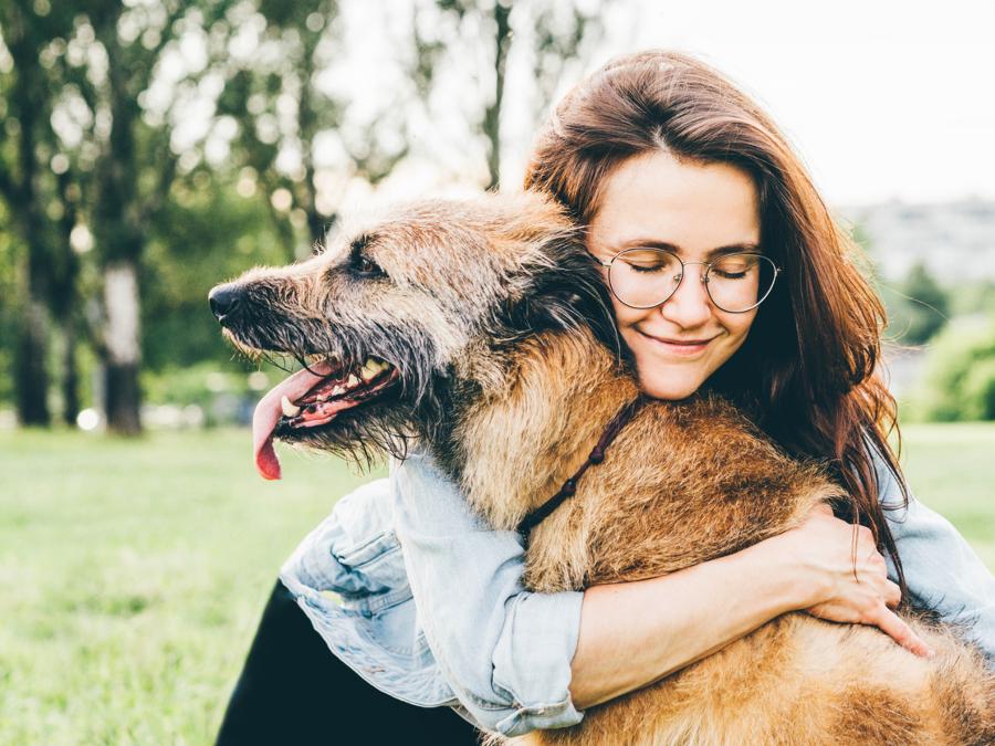 Día Mundial del Perro, ¿qué hacer para cuidarlo?