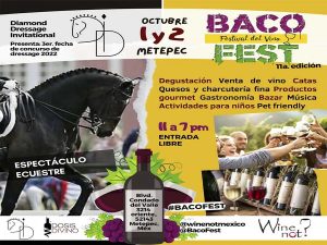 Baco fest la actividad indicada para todo público