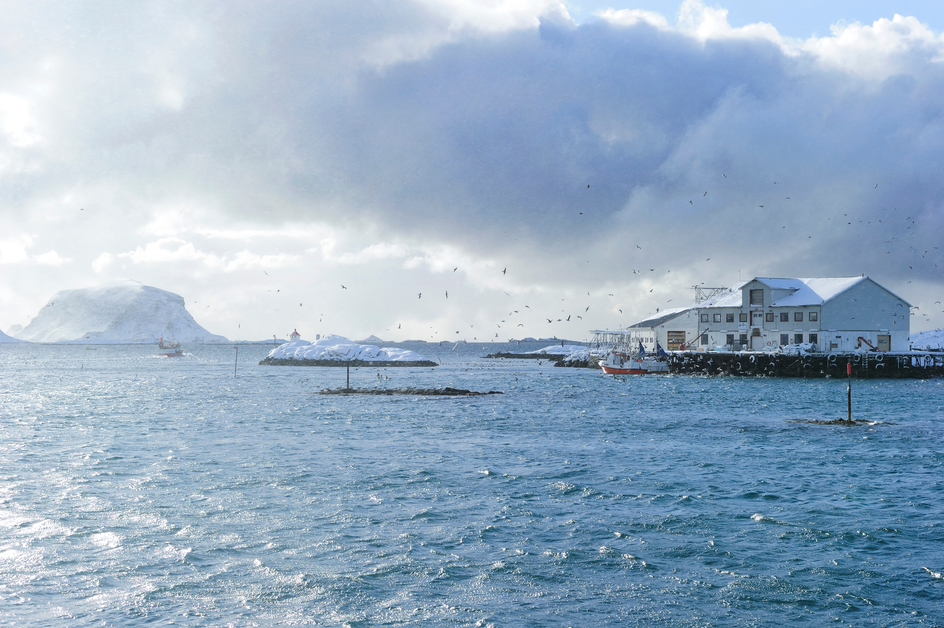 Gana un viaje a Noruega con tu receta familiar del bacalao navideño