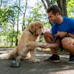 Amantes de los perros, conoce sus hábitos de consumo