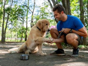 Amantes de los perros, conoce sus hábitos de consumo