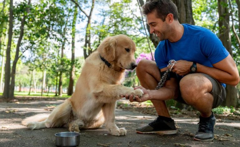 Amantes de los perros, conoce sus hábitos de consumo